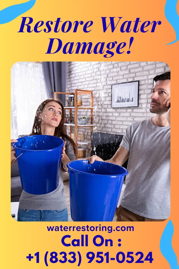 water restoration Expert Flood Cleanup & Associates Tallula