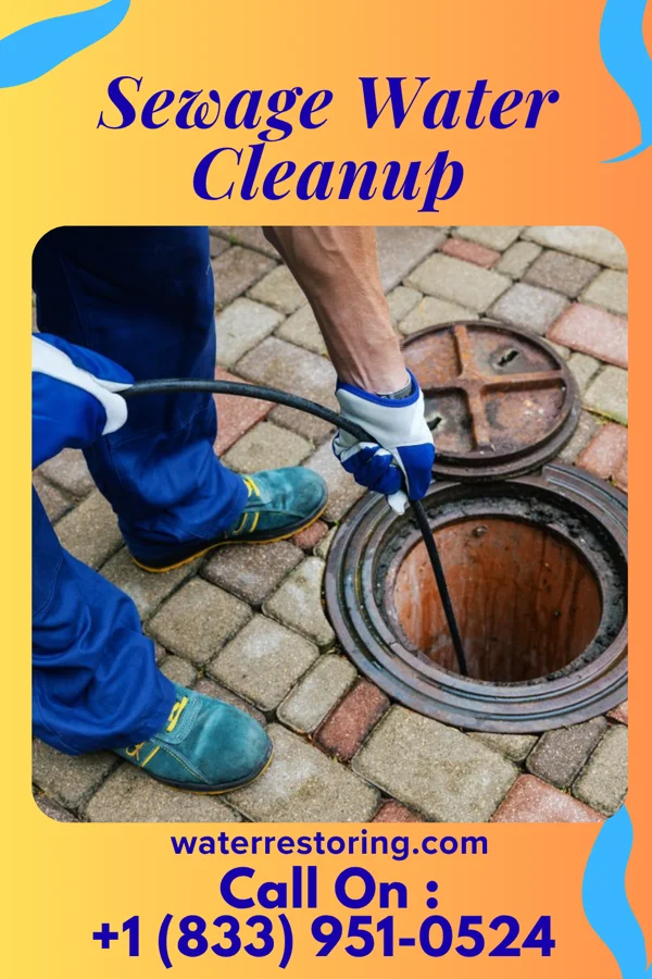 Sewage Water Cleanup in Tallula, IL
