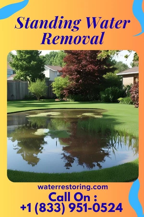 Standing Water Removal in Tallula, IL